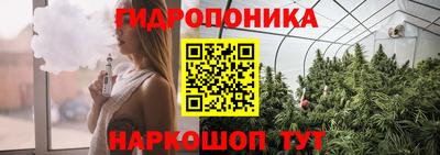 СК Лесосибирск