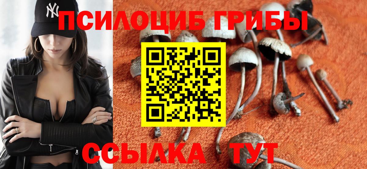 Галлюциногенные грибы прущие грибы Волгоград