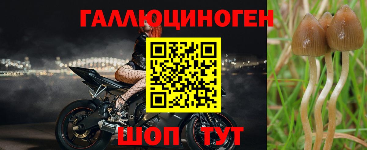 Галлюциногенные грибы ЛСД  Вход с VPN  Волгоград 